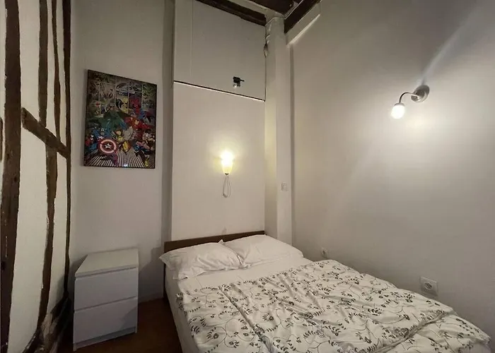 Amelie - Authentic 2br Saint-andre Des Arts Historic Courtyard *