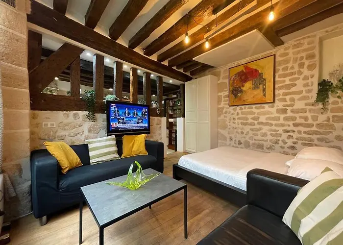 Amelie - Authentic 2br Saint-andre Des Arts Historic Courtyard