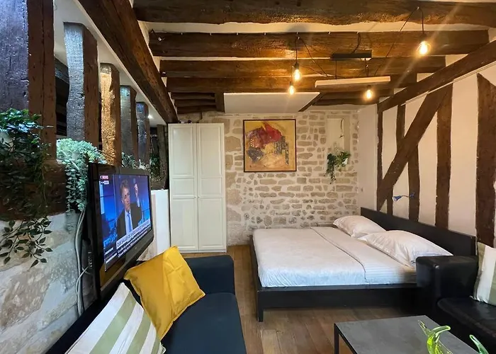Amelie - Authentic 2br Saint-andre Des Arts Historic Courtyard Apartment *