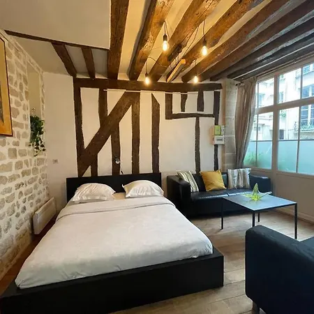 Amelie - Authentic 2br Saint-andre Des Arts Historic Courtyard 公寓 *