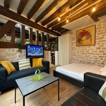 Amelie - Authentic 2br Saint-andre Des Arts Historic Courtyard