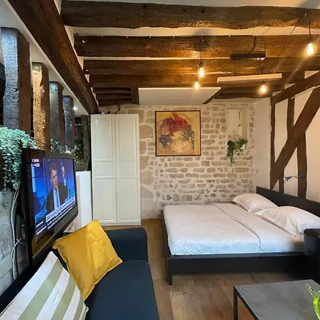 Amelie - Authentic 2br Saint-andre Des Arts Historic Courtyard شقة *